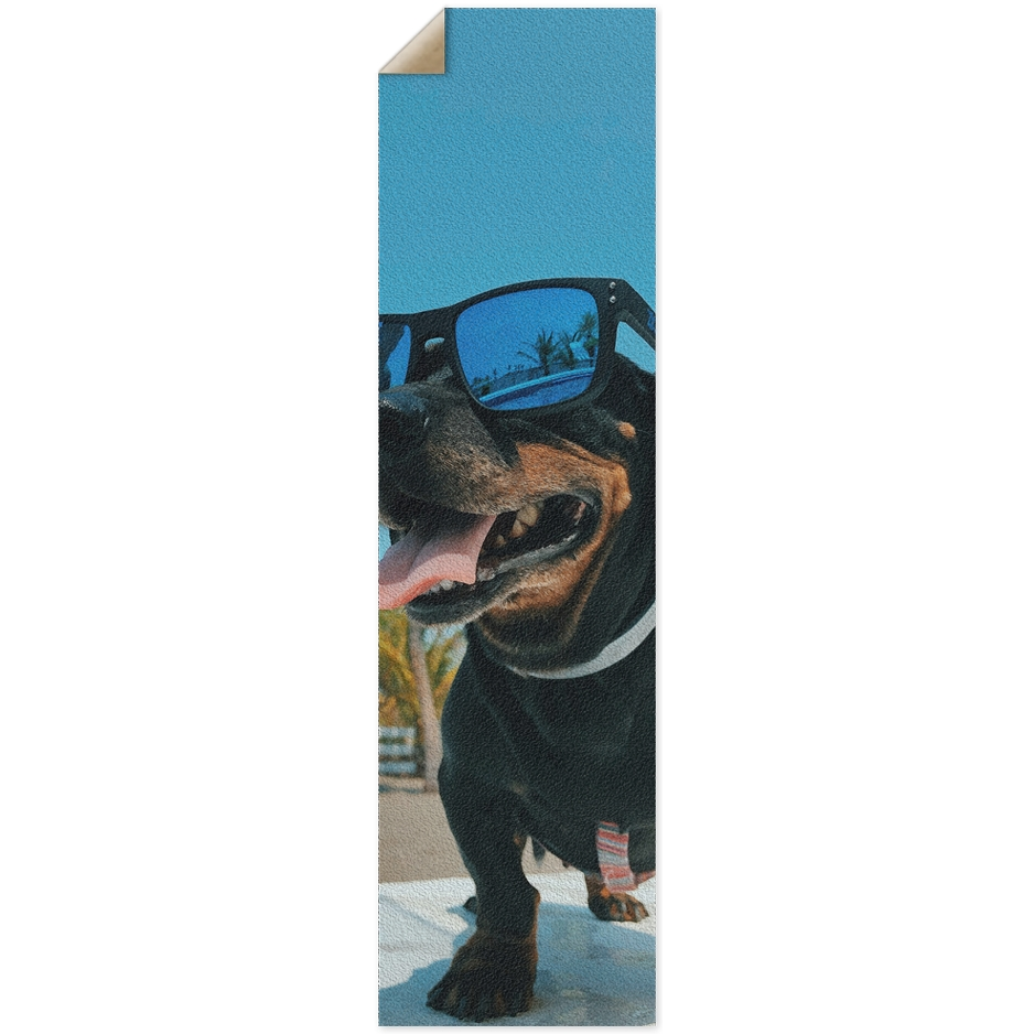 Cool Pup